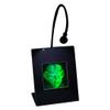3D FERENGI Klingon Borg Hologram Picture (Lighted Desk Stand) Collectible Multi-Channel Reflection Photopolymer Film view 2
