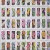 U.S. 2252-2301 ZD-Archery (Complete.Issue.) 1992 Wildflower (Stamps for Collectors) Plants/Mushrooms view 1