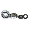 Pro X Crankshaft Bearing and Seal Kit for Kawasaki KX80 1985-2000 view 1