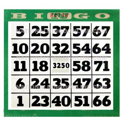 1ON EASY READ BINGO PAPER (Green)