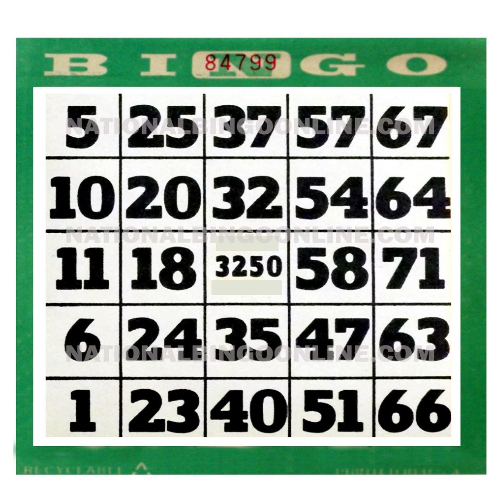 1ON EASY READ BINGO PAPER (Green)