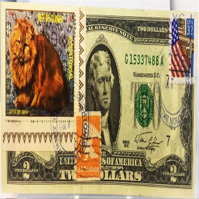$2 Collectible Uncirculated Banknote