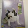 16 Valentines & Pencils (Puppies & Kittens) view 1