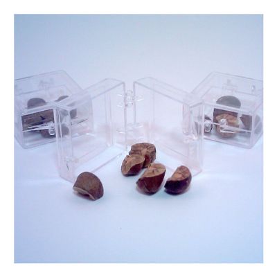 15 Crazy Real Live Magic Mexican Jumping Beans for Sale! (3 Cases of 5 Beans)