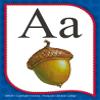 Mini Alphabet Flashcards - Abeka Kindergarten 1st and 2nd Grade 1, 2 Letter Recognition Reading Program Miniture Letter Cards view 4
