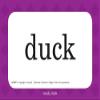 Clue Word Cards - Abeka Kindergarten 1st and 2nd Grade 1, 2 Phonics Reading Program Teaching Aid Flash Cards view 3