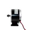 24V 250W Engine Kit for Child Karting Homemade Crazy Cart Power Kit High Speed Brushed DC Motor Use 25H Chain (24V Twist kit) view 4
