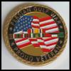 Persian Gulf War Veteran Military Colorized Challenge Art Coin view 2