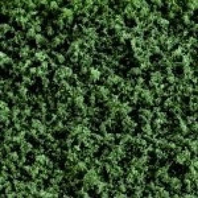 Woodland Scenics Conifer (Shaker)