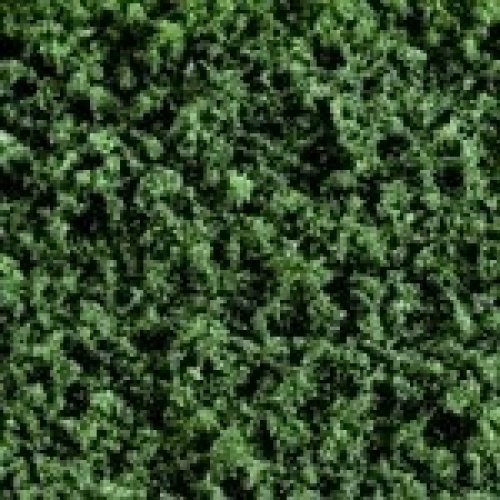 Woodland Scenics Conifer (Shaker)
