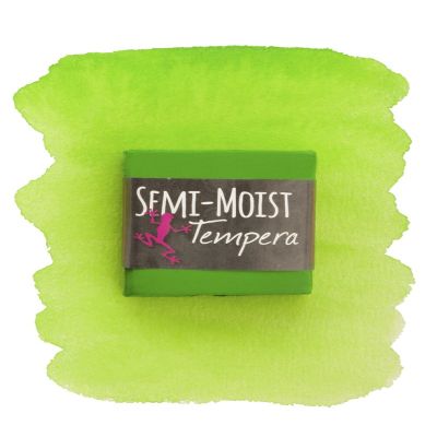 Richeson Semi-Moist Tempera Cake - Light Green