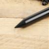 Carp Spirit Blax Bankstick 30-46 cm view 4