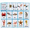 20PCS/Set Sea Animals Kids Gifts English Flash Cards Pocket Card Educational Learning Baby Toys for Children Pre-Kindergarten view 1