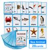 20PCS/Set Sea Animals Kids Gifts English Flash Cards Pocket Card Educational Learning Baby Toys for Children Pre-Kindergarten view 2