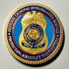 DCIS Defense Criminal Investigative Service DOD Special Agent Colorized Challenge Art Coin view 1