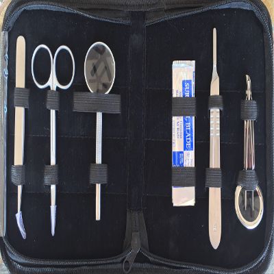 Taxonyx Science Inc Reptile Hatching Kit