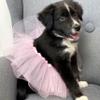 Purple 18" Doll, Pet, or Preemie Baby Tutu 3-Layer Ballerina view 3