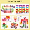 BAJOY Domino Set (240 + Pitagora Gimmick 24 Species) Japanese Manual, Storage Bag with view 4