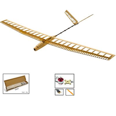 Dancing Wings Hobby Balsa Wood Radio Remote Controlled Electric Powered F14 Glider Uzi Aeroplane Laser Cut Kit Wingspan 1400mm Un-Assembled for Adults (F1402)