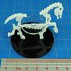 LITKO Skeletal Steed Character Mount | Warhorse Skeleton | Role Playing Games | Compatible with Dungeons & Dragons and Pathfinder Games (White, 50mm Circular Base) view 3