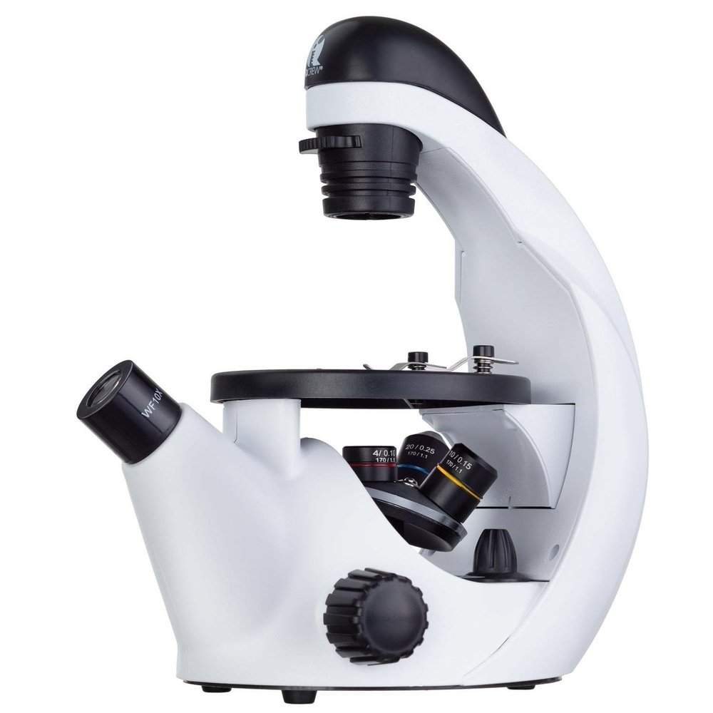 IQCrew by AmScope 40X-200X Kids Inverted Compound Microscope for Students