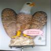 Attack Eagle Decoy with Sound System,Light Sensing Control, Solar Charging, Rotatable Bracket view 2