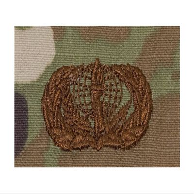 Air Force OCP Badge: Services