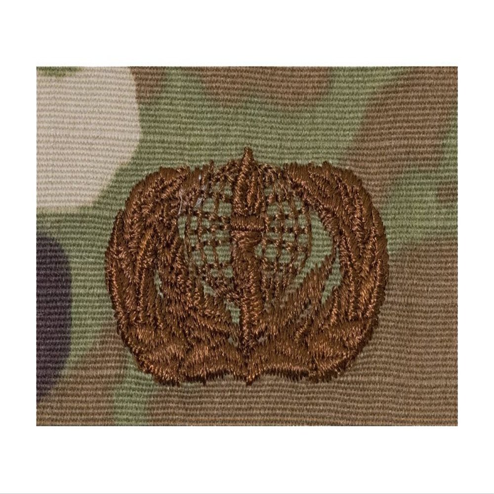 Air Force OCP Badge: Services