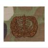 Air Force OCP Badge: Services view 1