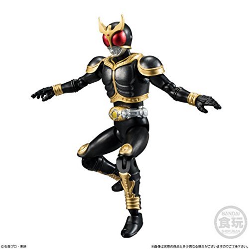 [39. Mask raida-kuuga ameizingumaitexi] Shodo Directory Rider VS9