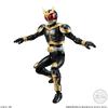 [39. Mask raida-kuuga ameizingumaitexi] Shodo Directory Rider VS9 view 1
