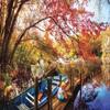 SUNSOUT INC - Morning Thoughts - 550 pc Jigsaw Puzzle by Artist: Celebrate Life Gallery - Finished Size 15" x 24" - MPN# 30122 view 3
