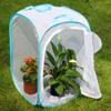 RESTCLOUD 36" Large Monarch Butterfly Habitat, Giant Collapsible Insect Mesh Cage Terrarium Pop-up 24 x 24 x 36 Inches view 4