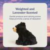 warmies Microwavable & Weighted Stuffed Animals, Black Bear - Heated Stuffed Animal Plushie for Warmth & Comfort - Cute Soft Plush Toys for Adults & Children (Boys, Girls, Babies & Toddlers) view 3