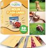 50 Noun Flash Cards, Fun Vocabulary Builder Educational Learning Photo Cards for Kids, Homeschool, Adults, Seniors, Speech Therapy, ESL, Autism, Dementia, Aphasia, SLP, ABA, and Occupational Therapy view 1