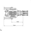 AZEEKO New DLE55 55cc Gasoline Engine for RC Airplane view 4