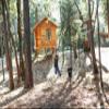 50' Chetco Zip Line Kit w/Seat & Carabiner view 2