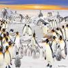 Otter House 1000 Piece Puzzle - Penguin Party by Pollyanna Pickering view 2