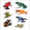 Playhouse Pack of Three Perforated Sticker Half-Sheets for Crafts, Trading & Collecting - Rainforest Frogs 1 Pack view 2