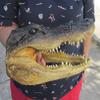10" Alligator Head From a 6 Foot Louisiana Gator Taxidermy Swamp Wars view 1