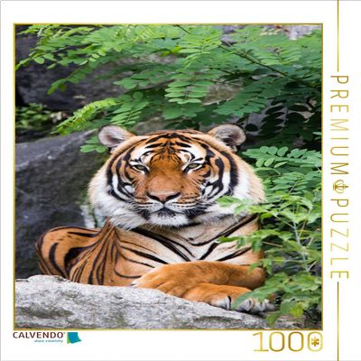 CALVENDO Puzzle The Tiger - a Striped Hunter 1000 Pieces 48 x 64 cm from Cloudtail The Snow Leopard