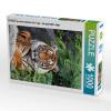 CALVENDO Puzzle The Tiger - a Striped Hunter 1000 Pieces 48 x 64 cm from Cloudtail The Snow Leopard view 4