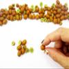 Dollhouse Food Accessories 20 Kiwi Fruit Dollhouse Miniature Loose Food 14955 view 4