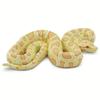 Safari Ltd. Albino Burmese Python Figurine - Lifelike 5.5" Snake Figure - Educational Toy for Boys, Girls, and Kids Ages 3+ view 1