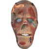 amscan Zombie Full Mask with Insects - One Size | Multicolor - Pack of 1 view 1