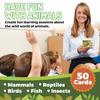 50 Animal Flash Cards - Realistic Photo Cards - Fun Vocabulary Builder for Autisim, Speech Therapy, ESL, Occupational Therapy - Montessori Educational Games for Preschool Kids Learning Activity view 4