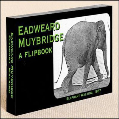 Muybridge Elephant Flipbook for Kids 6-12, Animation Flip Book for Children
