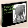 Muybridge Elephant Flipbook for Kids 6-12, Animation Flip Book for Children view 1