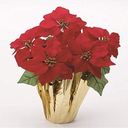 kurisumasupoinsetiapotto berubettopoinsetiapotto
