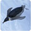 Ania AS-11 Emperor Penguin (Float on Water Ver.) view 2
